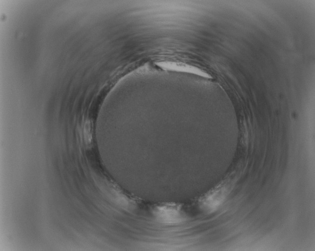 X0000062150232200512091322