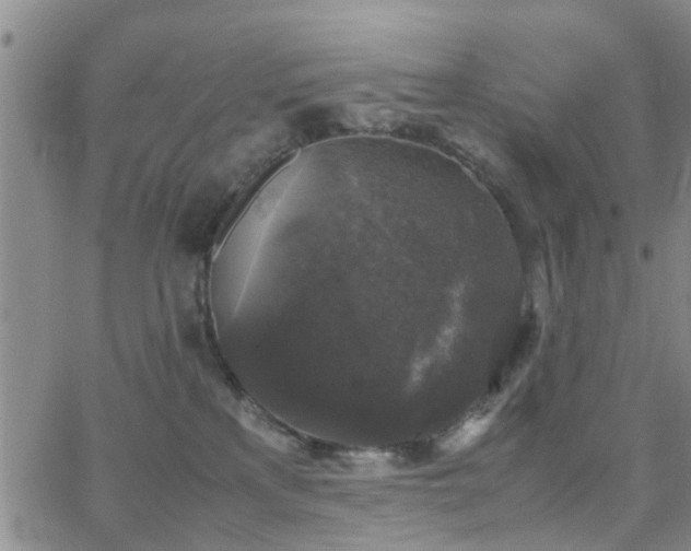 X0000062150233200512091322