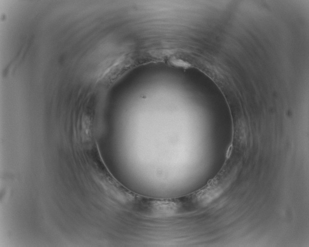 X0000062150234200512091322