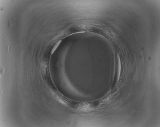 X0000062150235200512091322