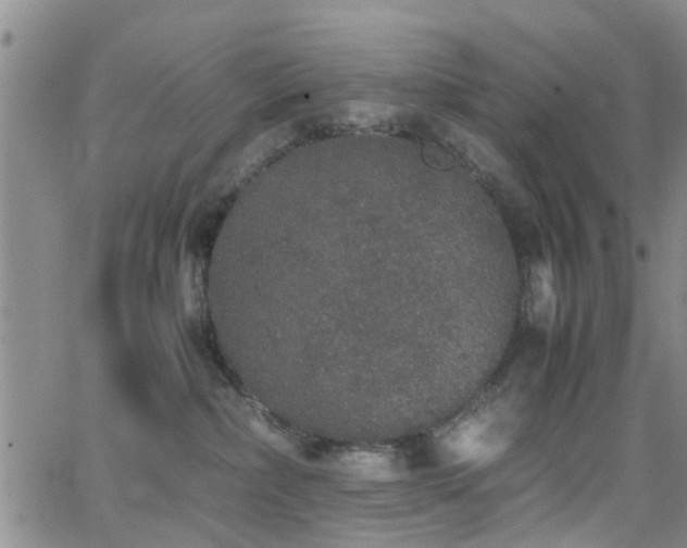 X0000062150236200512091322