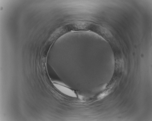 X0000062150237200512091322