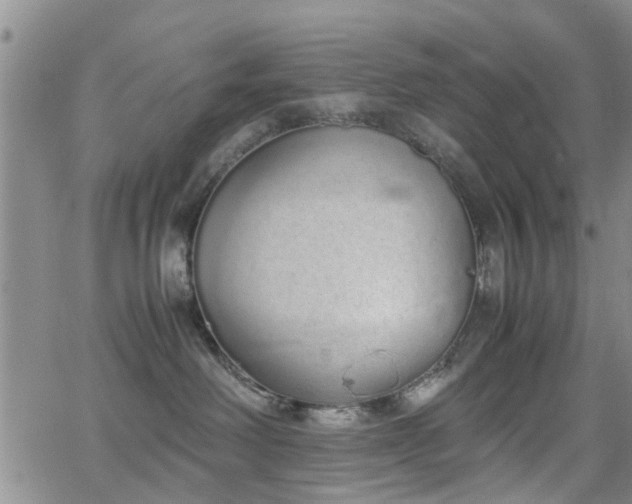 X0000062150238200512091322