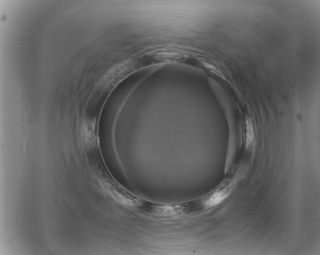 X0000062150239200512091322