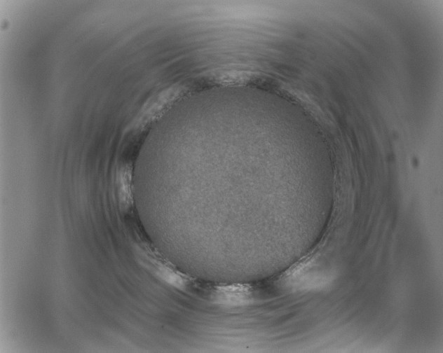 X0000062150240200512091322