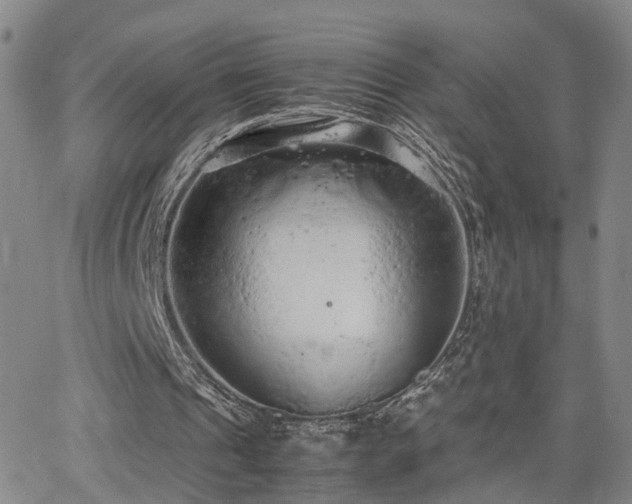 X0000062150241200512091321