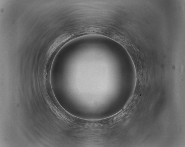 X0000062150242200512091321