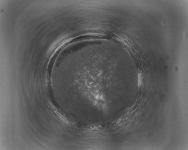 X0000062150243200512091321