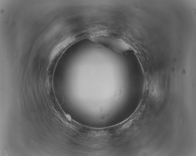 X0000062150245200512091321