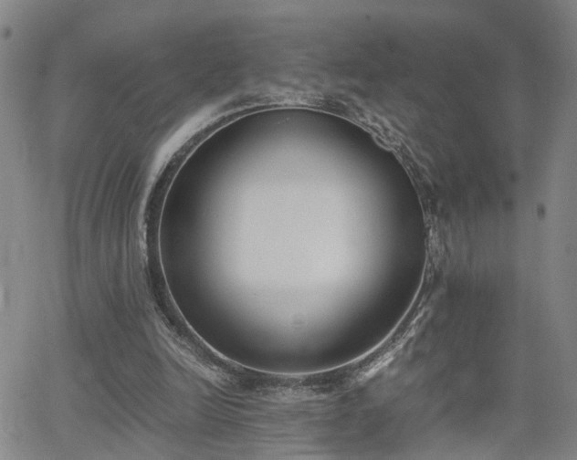 X0000062150246200512091322