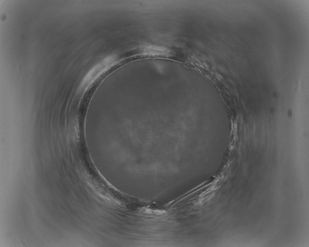 X0000062150247200512091322