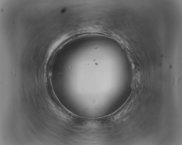 X0000062150248200512091322