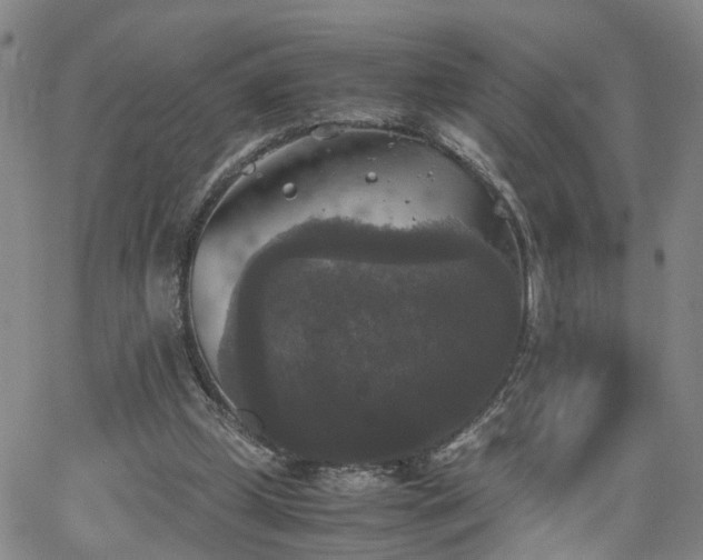 X0000062150249200512091322