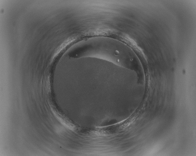 X0000062150250200512091322