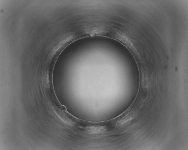 X0000062150251200512091322