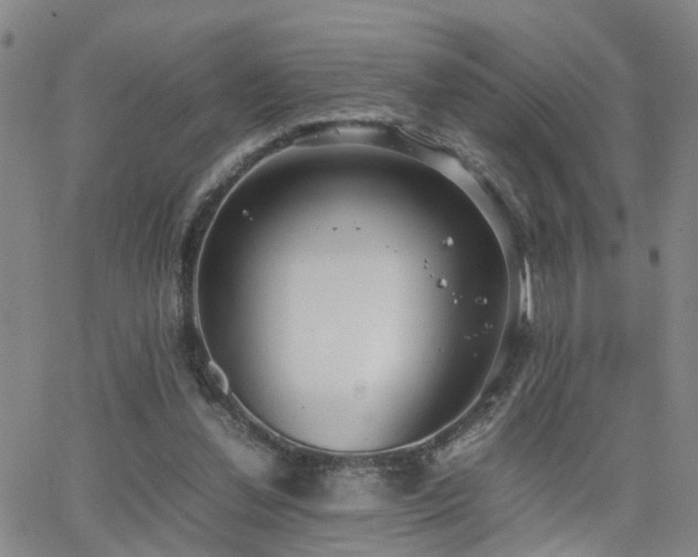 X0000062150252200512091322