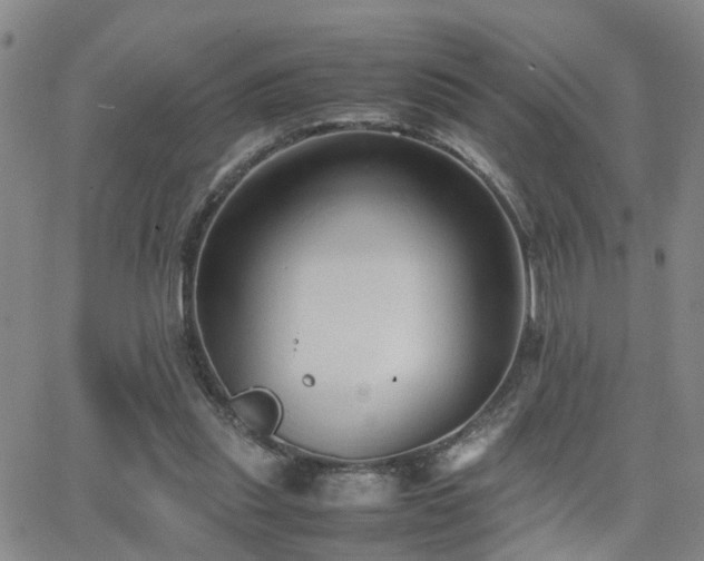 X0000062150253200512091322