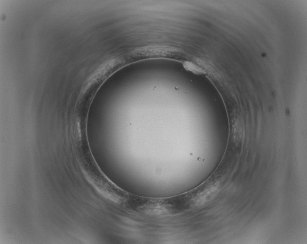 X0000062150254200512091322