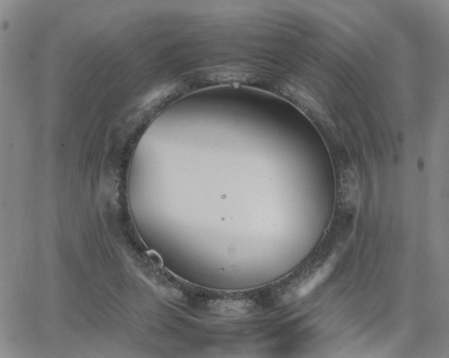 X0000062150255200512091322