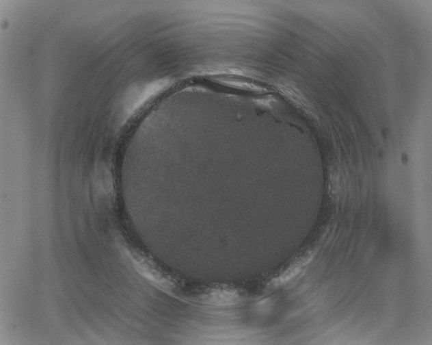 X0000062150256200512091322