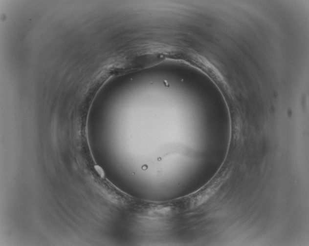 X0000062150257200512091322