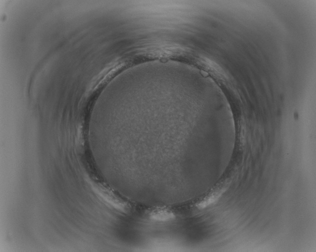 X0000062150258200512091322