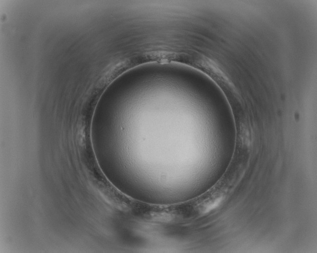 X0000062150259200512091322