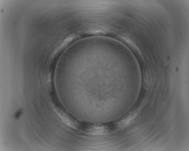 X0000062150260200512091322