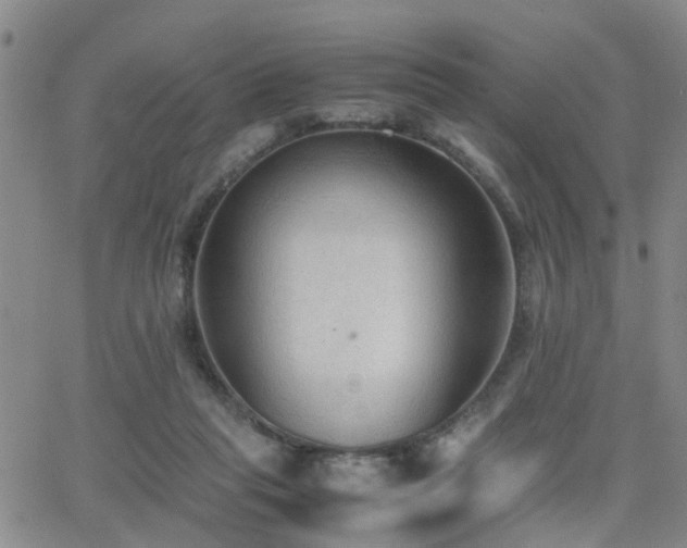 X0000062150261200512091322