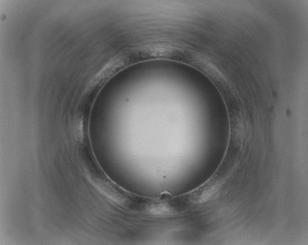 X0000062150262200512091322