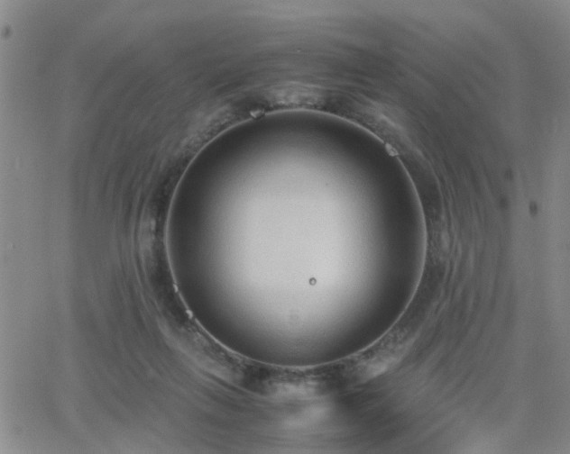 X0000062150263200512091322