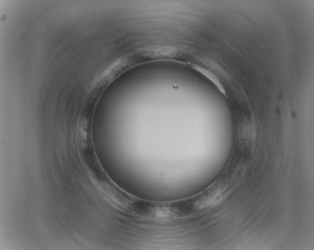 X0000062150264200512091322