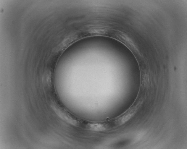 X0000062150265200512091322