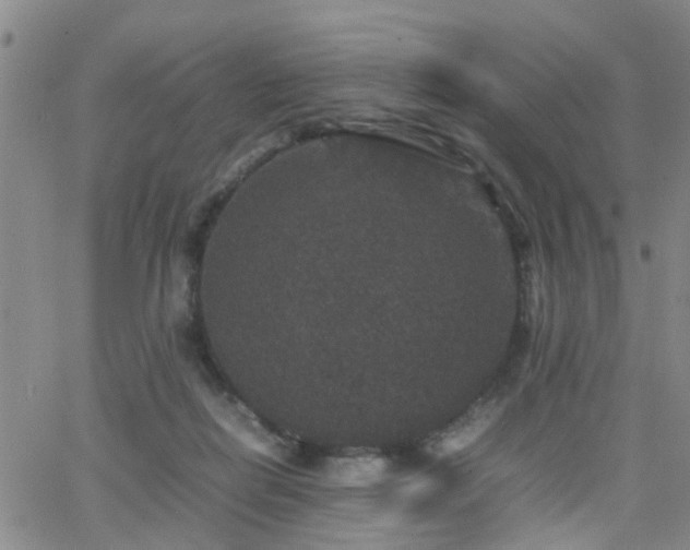 X0000062150266200512091322