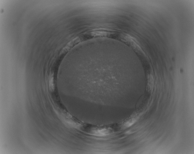 X0000062150267200512091322