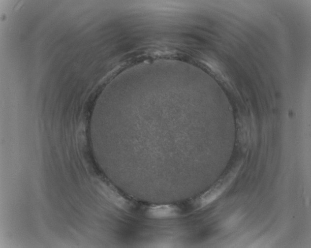 X0000062150269200512091322