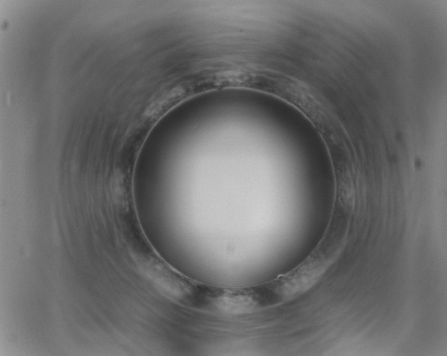 X0000062150270200512091322