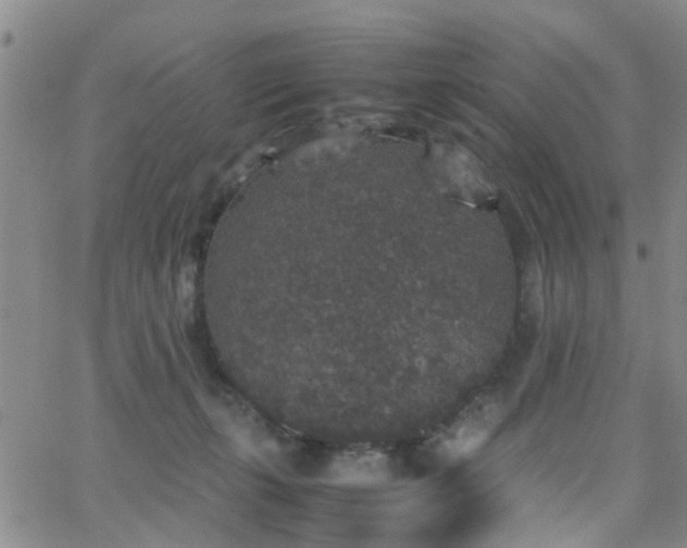 X0000062150271200512091322