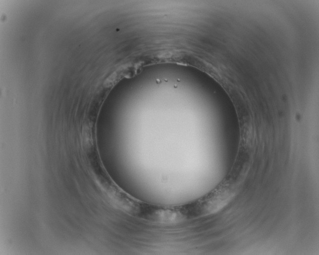 X0000062150272200512091322