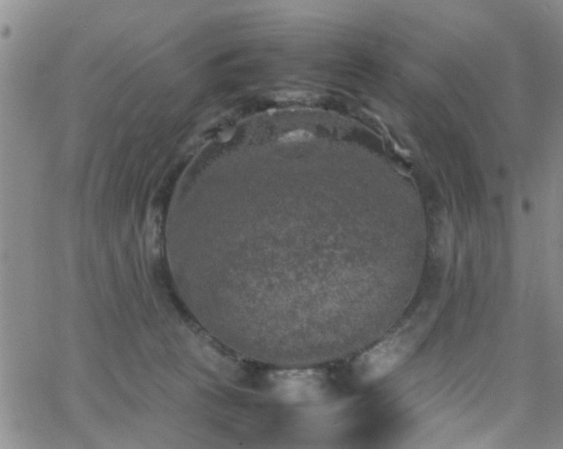 X0000062150273200512091322