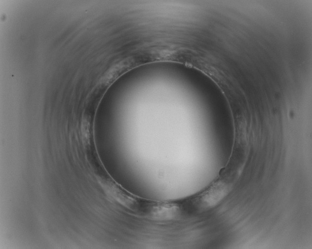 X0000062150274200512091322