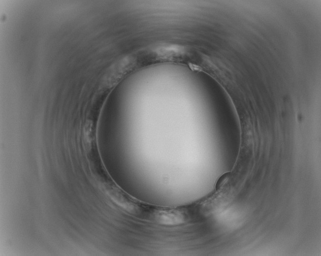 X0000062150275200512091322