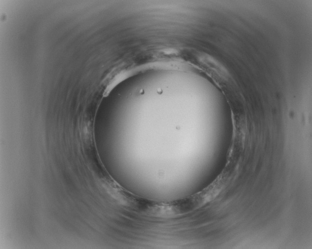 X0000062150276200512091322