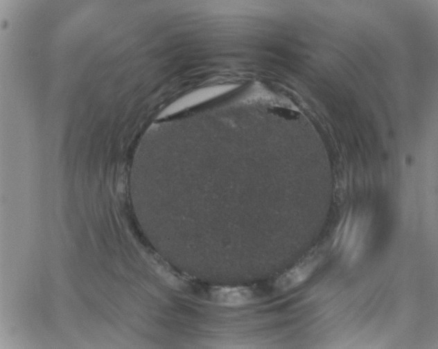 X0000062150277200512091322