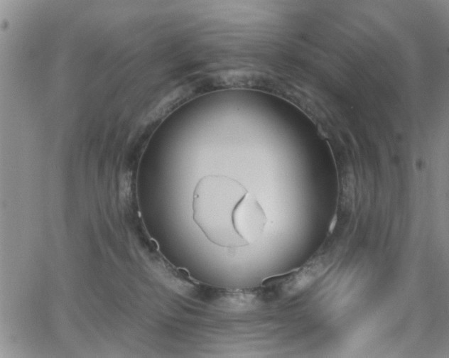 X0000062150278200512091322