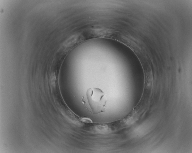 X0000062150279200512091322