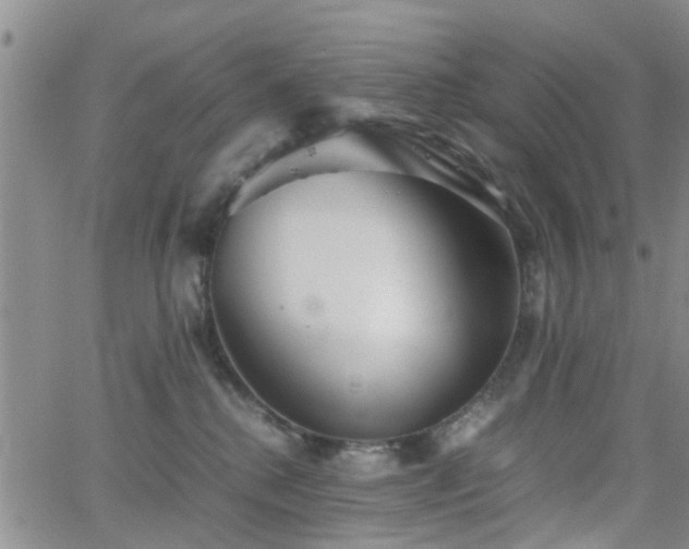 X0000062150280200512091322