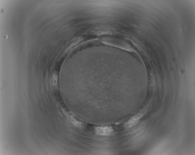 X0000062150281200512091322