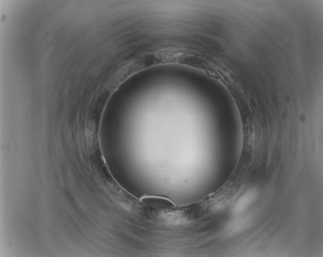 X0000062150283200512091322