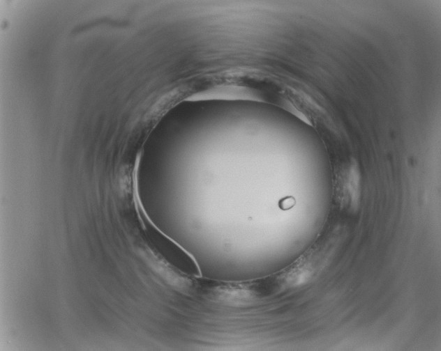 X0000062150284200512091322